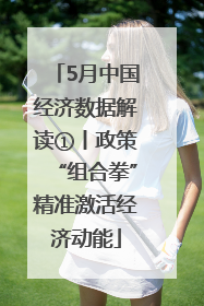 5月中国经济数据解读①丨政策“组合拳”精准激活经济动能